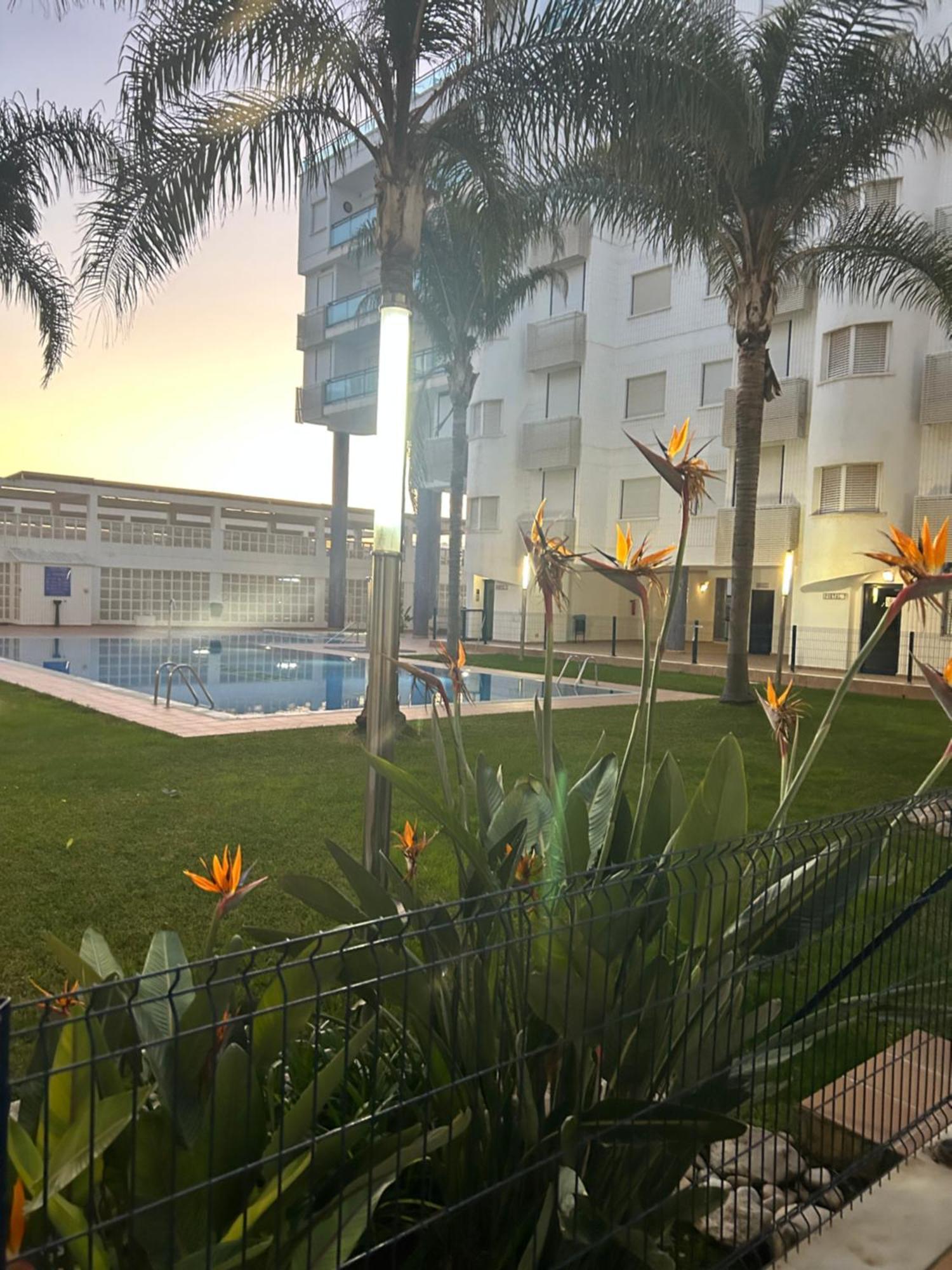 Sunny Apartment Daimús Extérieur photo